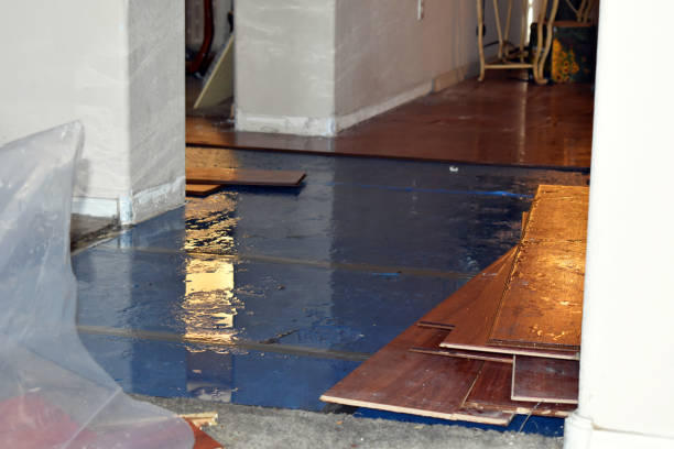Professional Crawl Space Water Removal technician working in Cotuit, MA